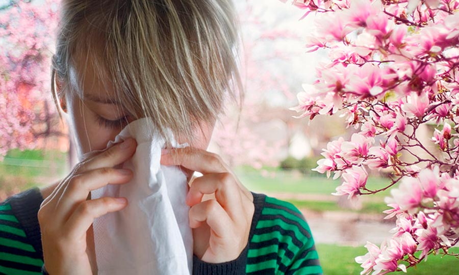 Alergias primaverales, combátelas con una buena alimentación
