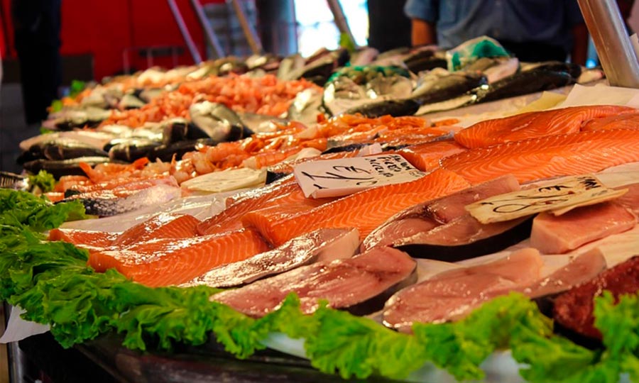 Para una alimentación saludable… ¡incorpora pescado a tu dieta!