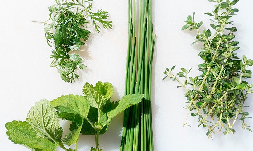 Las hierbas aromáticas en la cocina son el toque especial que enriquecerá tus recetas