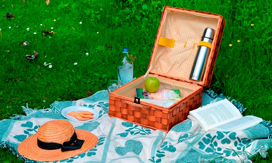 Tips para disfrutar de un picnic perfecto