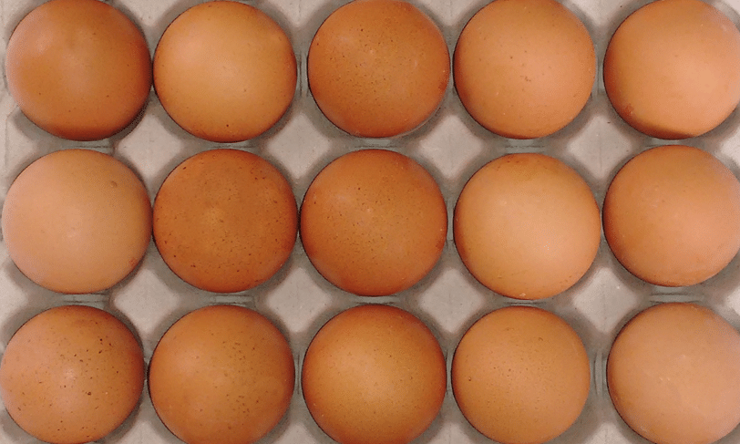 Huevos DAGU destapa los mitos y realidades