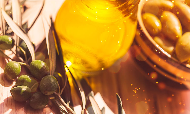 Historia y cultura del aceite de oliva: su papel en la Historia