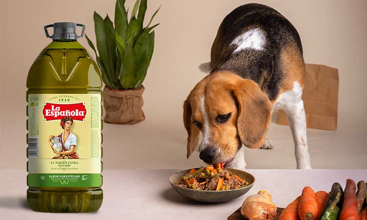 Usos y beneficios del aceite de oliva para perros. ¿Es bueno?