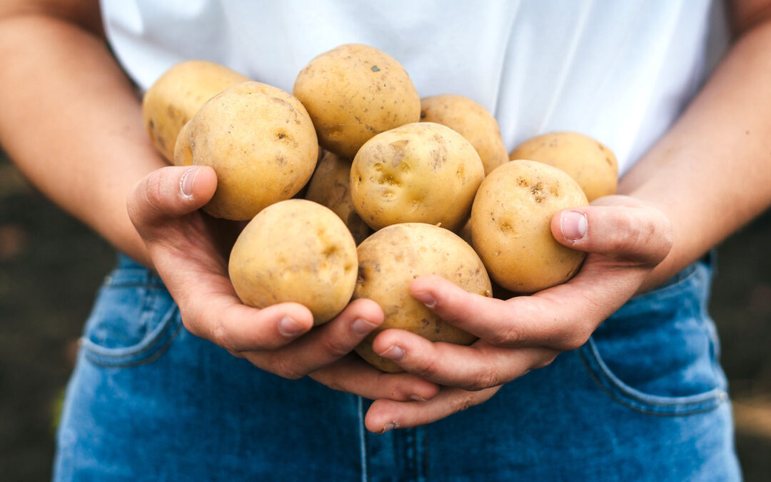 10 maneras innovadoras de utilizar las patatas en tu cocina