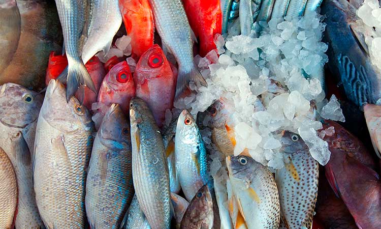 Cómo preparar el pescado: técnicas de cocinado